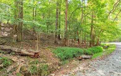 0 Oak Hollow Ct unit 328869, Ellijay, GA 30540 - photo 4