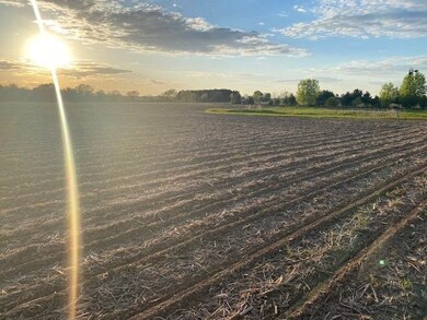 1 Bellbrook Rd, Brooklyn, WI 53521 - photo 3