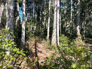 10228 Totem Way, Anderson Island, WA 98303 - photo 4