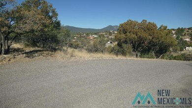 Lot 316 Eddie Ward, Silver City, NM 88061 - photo 7