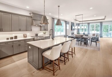 59 Wheeler Dr unit 30, Boxborough, MA 01719 - photo 4