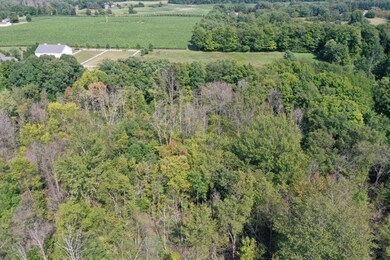 DJI_0906
