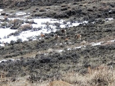 tbd Cr 7, Craig, CO 81625 - photo 7