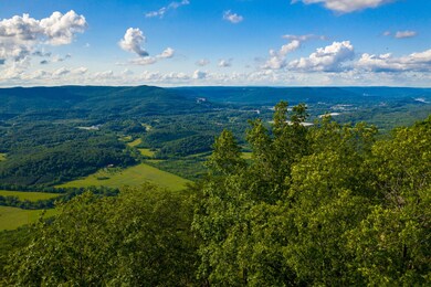 DJI_0966