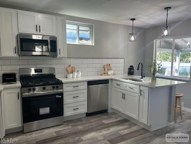 3007 Barber Ave, Cleveland, OH 44113 - photo 3