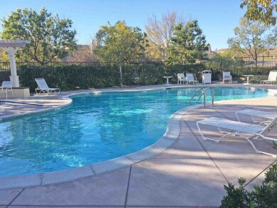 Pool 1