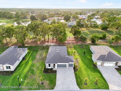 9127 Players Dr, Weeki Wachee, FL 34613 - photo 4