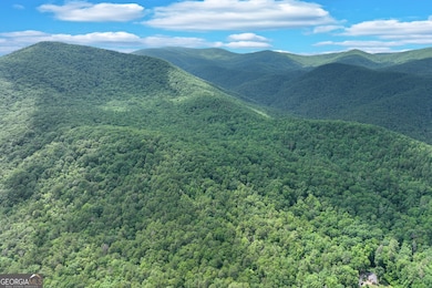 2001 Chimney Mtn Flats Trail, Clarkesville, GA 30523 - photo 7