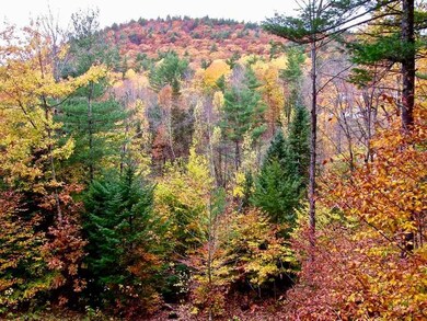 83 Tabor Cir, Albany, NH 03818 - photo 6