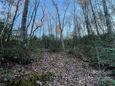 TBD Yates Ln unit 116, Lake Lure, NC 28746 - photo 4