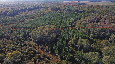 0 Wildlife Way unit 1085697, Callahan, FL 32011 - photo 3