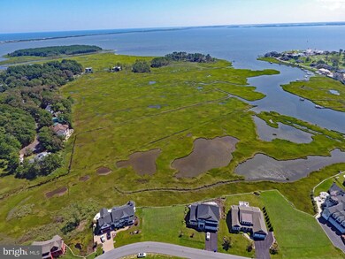 65 Blackpool Rd, Rehoboth Beach, DE 19971 - photo 5