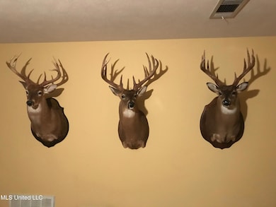 001 Farr Rd, Bolton, MS 39041 - photo 5