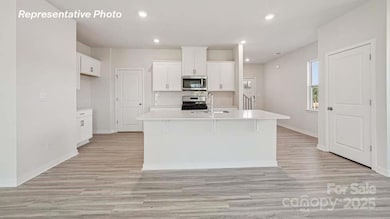 4100 Summey Trail, Lincolnton, NC 28092 - photo 5