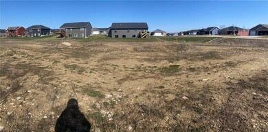 View from back yard. You can see in this photo wha