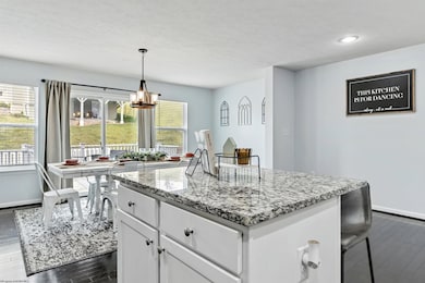 111 Tee Dr, Cassville, WV 26541 - photo 4