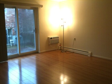 19 Gates St unit 3, Boston, MA 02127 - photo 2