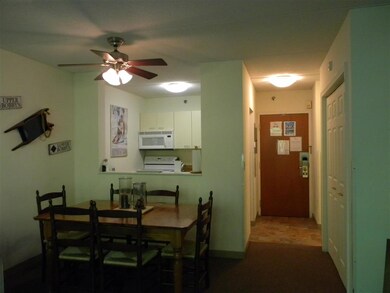 28 Packard Rd unit 332, Waterville Valley, NH 03215 - photo 5
