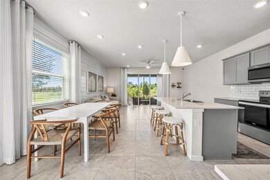 5369 Elmview Crossing, Wesley Chapel, FL 33545 - photo 4