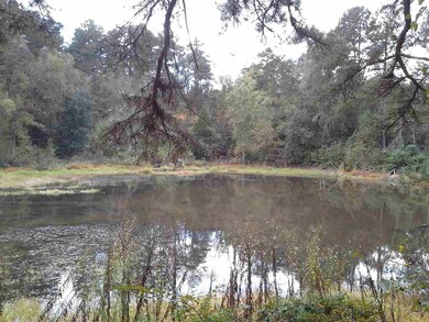 0 Maxeys Rd unit 45866, Union Point, GA 30669 - photo 7