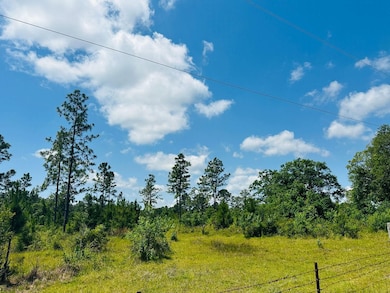 0 Mcgregor Rd unit 23667917, Grand Bay, AL 36541 - photo 3