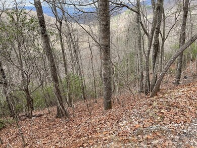 00 Hummingbird Hill Rd, Franklin, NC 28734 - photo 2