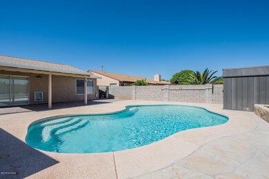 10141 pool