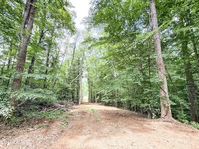 0 Forest Creek Pkwy unit RTC2908571, Oak Ridge, TN 37830 - photo 6