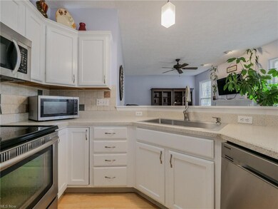 26985 Valeside Ln, Olmsted Falls, OH 44138 - photo 7