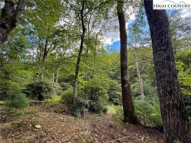 tbd Timber Rock Rd, Blowing Rock, NC 28607 - photo 6