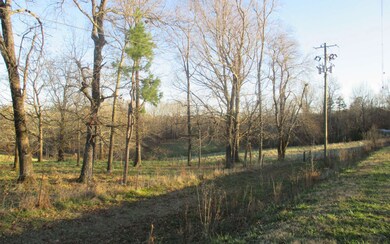 Additional View