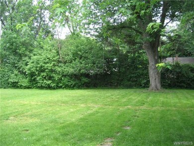 Backyard.