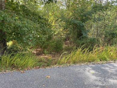 0 Willow Top Ln unit 311 CAR4197864, Lake Lure, NC 28746 - photo 4