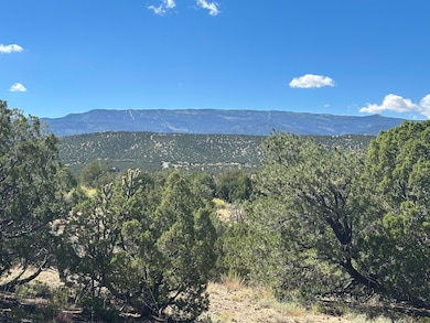 7 Old Rail Pass, La Madera, NM 87047 - photo 2