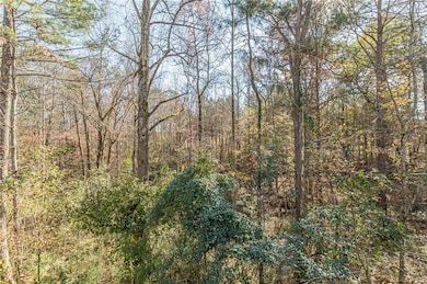 View of nature