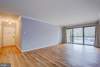 11323 Commonwealth Dr unit 101, Rockville, MD 20852 - photo 7