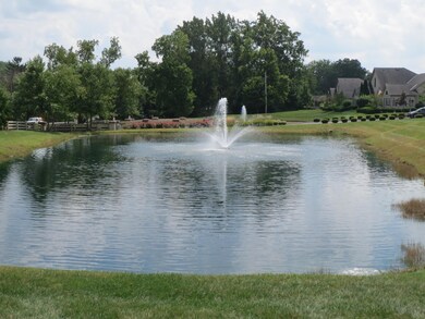 Pond views