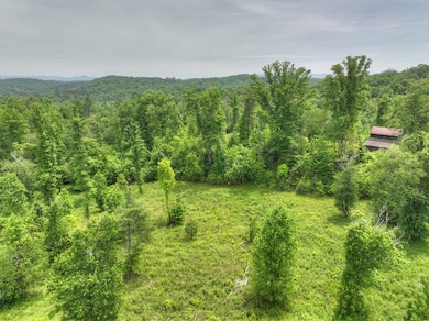 LOT 13 Hidden Acres, Blue Ridge, GA 30513 - photo 2