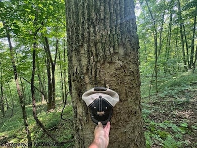 TBD Irontown Rd, Independence, WV 26374 - photo 7