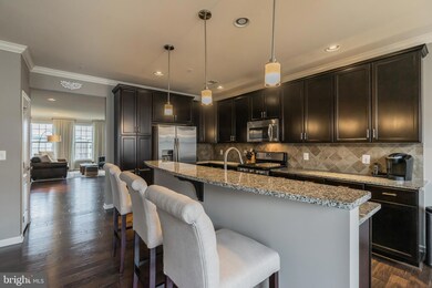 43019 Clarks Mill Terrace, Ashburn, VA 20148 - photo 3