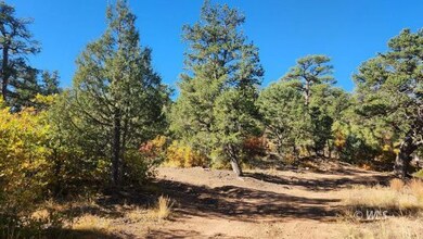 TBD L 42nd Trail, Cotopaxi, CO 81223 - photo 6