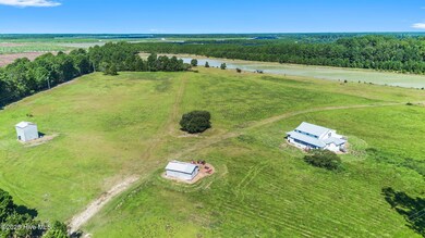 14419 Nc Highway 41 E, Harrells, NC 28444 - photo 6