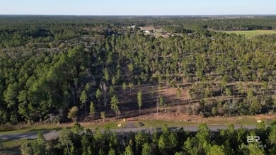 0 Archie Rd, Elberta, AL 36530 - photo 5