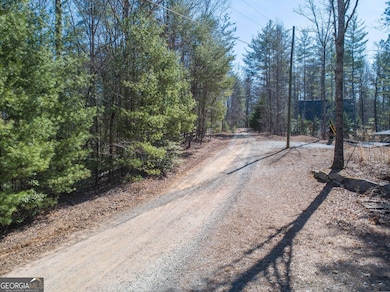 0 Bartox Dr unit 10474667, Ellijay, GA 30540 - photo 7