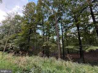 0 Cubby Hole Lane - Lot 25 unit WVMO2006624, Berkeley Springs, WV 25411 - photo 6
