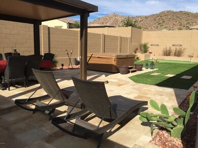 Backyard1