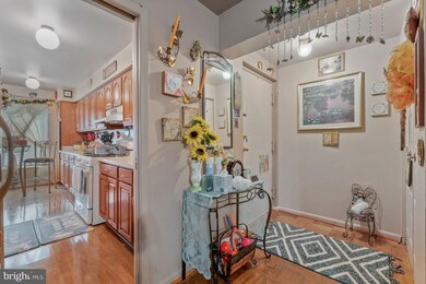 5245 W Running Brook Rd unit U302, Columbia, MD 21044 - photo 4