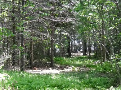 Land/Lot.