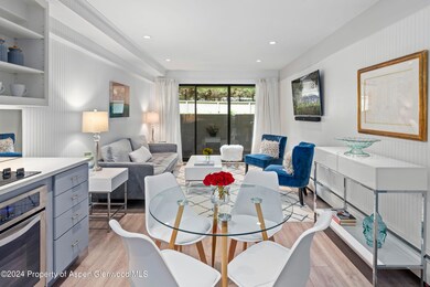 980 E Hyman Ave unit 5, Aspen, CO 81611 - photo 4