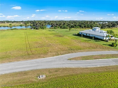 22821 Yellow Button Ln, Alva, FL 33920 - photo 4